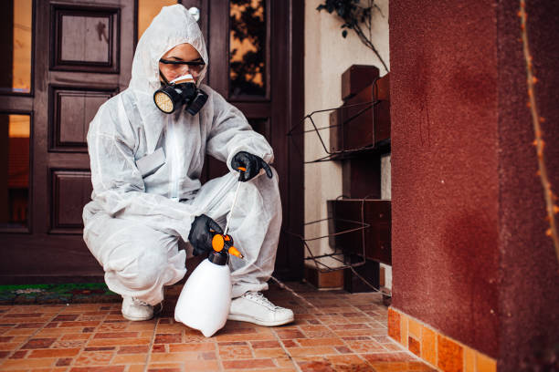 Reliable Wasp Removal contractor in Chesapeake Beach, MD by Show Me Pest Control